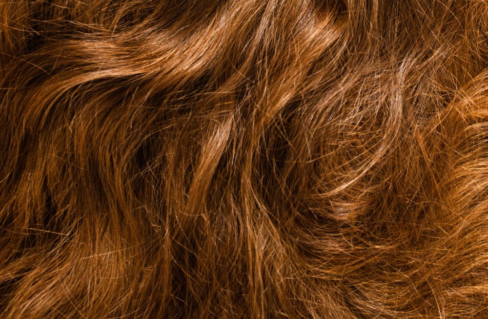 Natural brown unpainted hair as a background